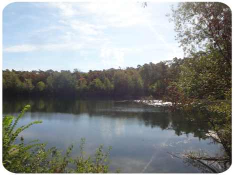 Weiher am Karlstern im Spätsommer