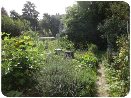 Naturnaher Nutzgarten
