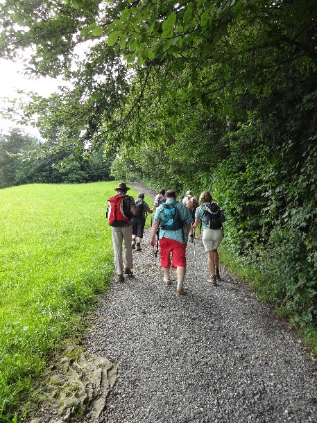 Kräuterwanderung zwischen Wald und Wiese