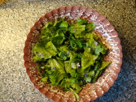 Wildkräutersalat